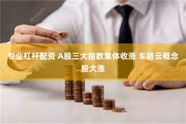 专业杠杆配资 A股三大指数集体收涨 车路云概念股大涨