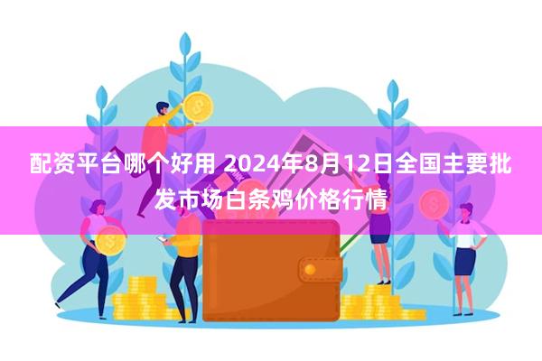 配资平台哪个好用 2024年8月12日全国主要批发市场白条鸡价格行情