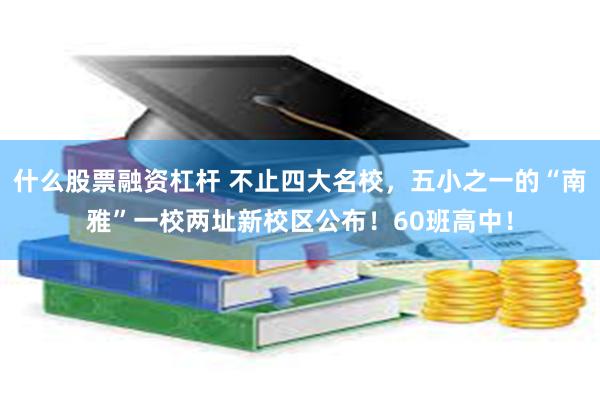 什么股票融资杠杆 不止四大名校，五小之一的“南雅”一校两址新校区公布！60班高中！