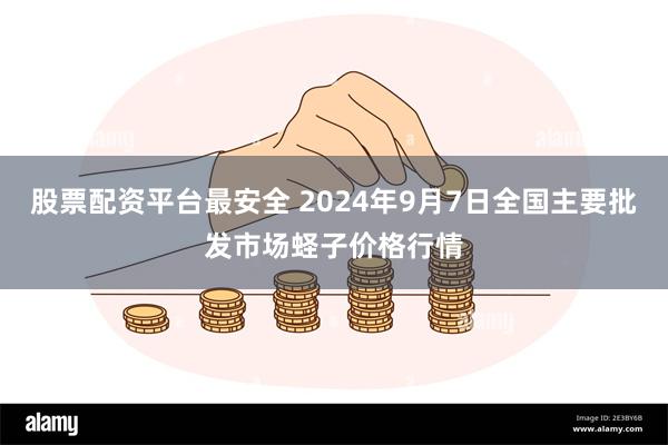 股票配资平台最安全 2024年9月7日全国主要批发市场蛏子价格行情