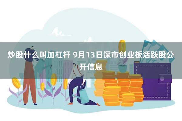 炒股什么叫加杠杆 9月13日深市创业板活跃股公开信息