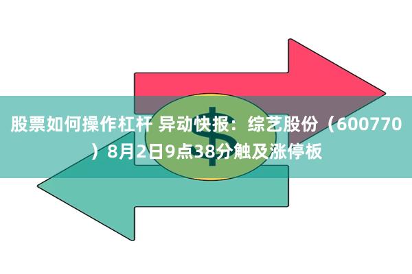 股票如何操作杠杆 异动快报：综艺股份（600770）8月2日9点38分触及涨停板