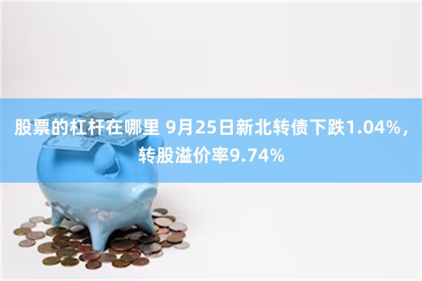 股票的杠杆在哪里 9月25日新北转债下跌1.04%，转股溢价率9.74%