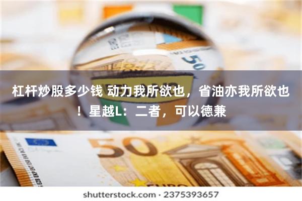 杠杆炒股多少钱 动力我所欲也，省油亦我所欲也！星越L：二者，可以德兼