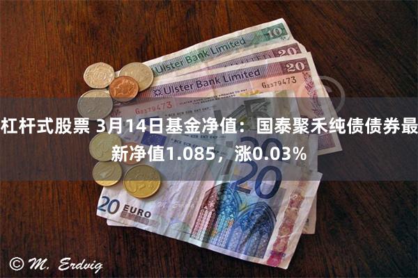 杠杆式股票 3月14日基金净值：国泰聚禾纯债债券最新净值1.085，涨0.03%